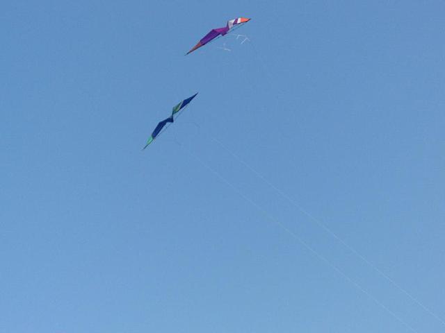 cimg0608