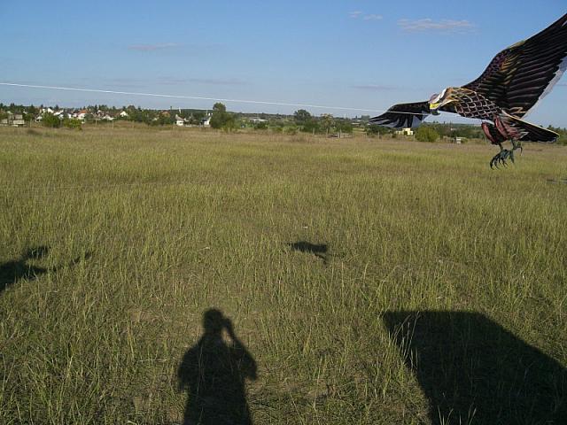 cimg4549