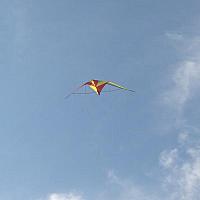cimg2206