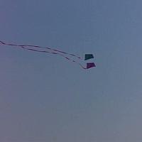 cimg2340