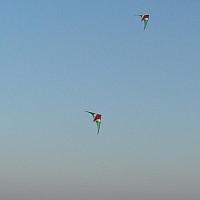 cimg2397