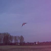 cimg2408