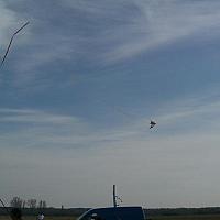 cimg2458