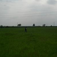 cimg2931