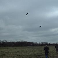 dscf0025