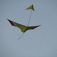 IMG_1427