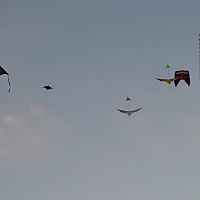 IMG_1432