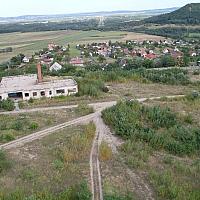 SDC10347