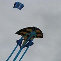 IMG_2819