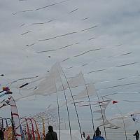 IMG_2844