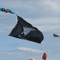 IMG_2891
