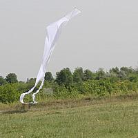 MFRT 2013.05.01. 08