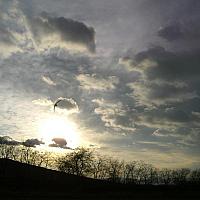 CIMG5229